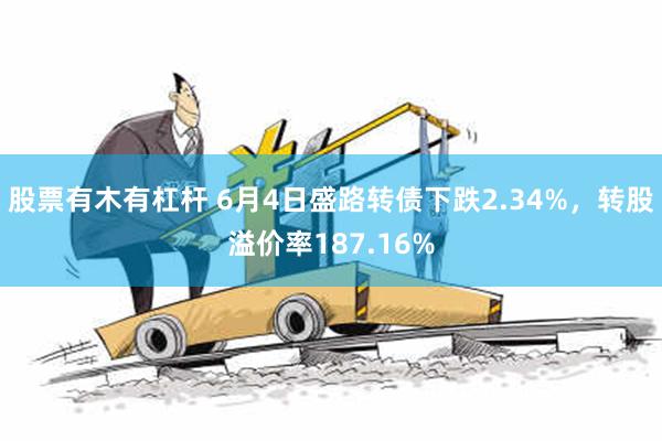 股票有木有杠杆 6月4日盛路转债下跌2.34%，转股溢价率187.16%