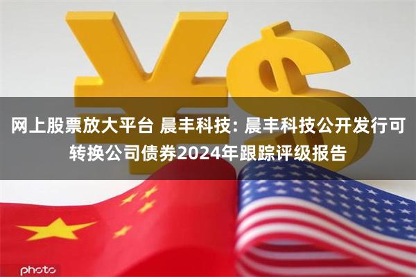 网上股票放大平台 晨丰科技: 晨丰科技公开发行可转换公司债券2024年跟踪评级报告