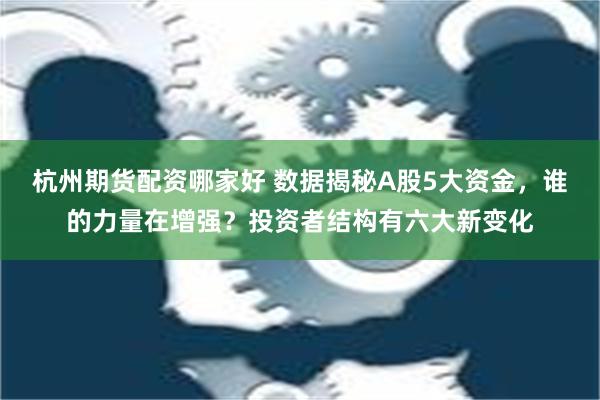 杭州期货配资哪家好 数据揭秘A股5大资金，谁的力量在增强？投资者结构有六大新变化