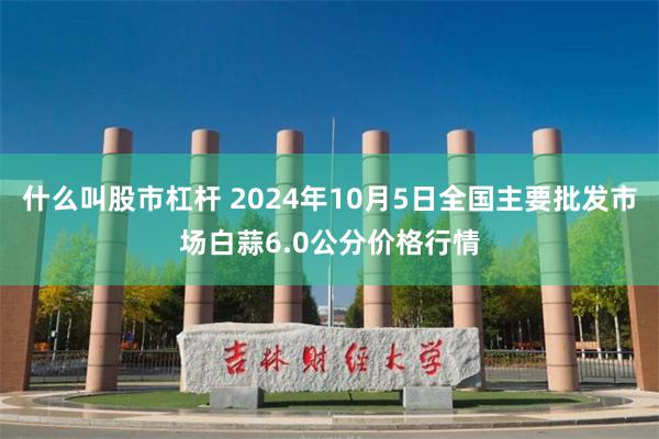 什么叫股市杠杆 2024年10月5日全国主要批发市场白蒜6.0公分价格行情