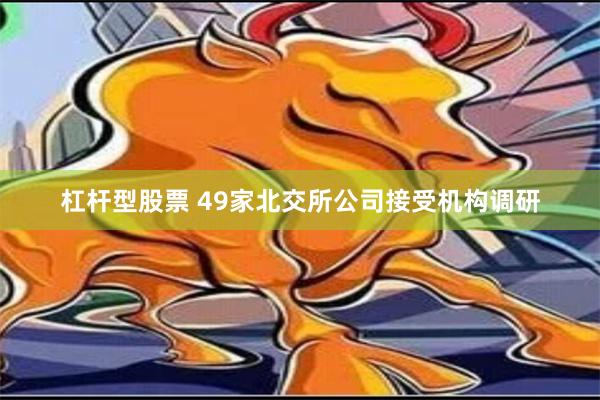 杠杆型股票 49家北交所公司接受机构调研