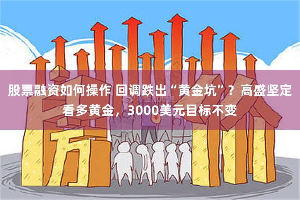 股票融资如何操作 回调跌出“黄金坑”？高盛坚定看多黄金，3000美元目标不变